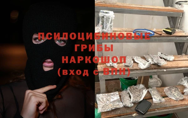 твердый Алексеевка